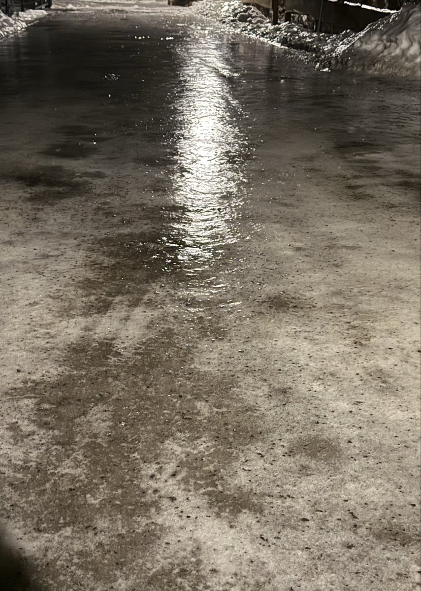 Teddi 🐾 ⛰️ tweet media