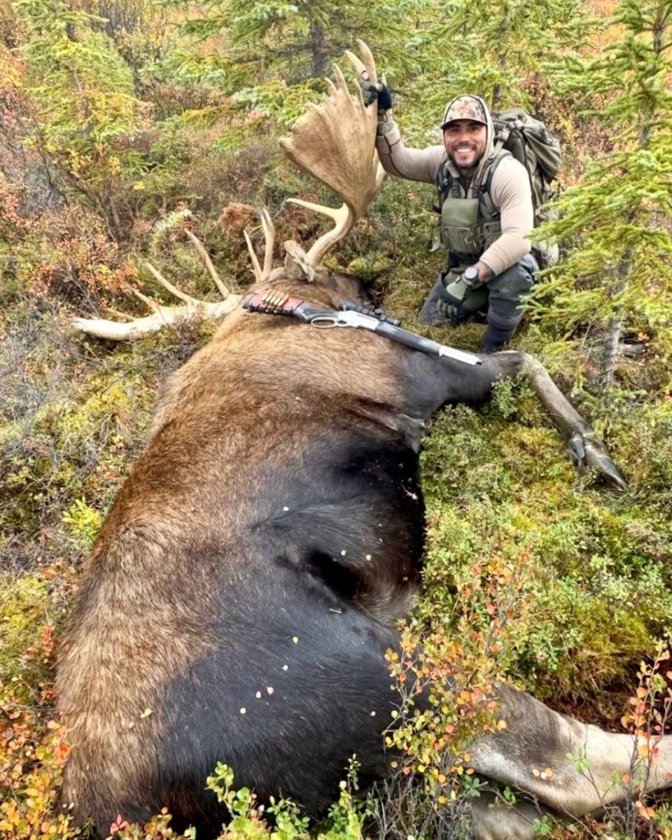 OUTDChannel's tweet photo. "From the field to the dinner table." The bull of a lifetime, congratulations! 

📸@inthesemountains 

#FindYourAdventures #outdoors #hunting #moose #moosehunting #fieldtotable https://t.co/wN0PwJ0kir