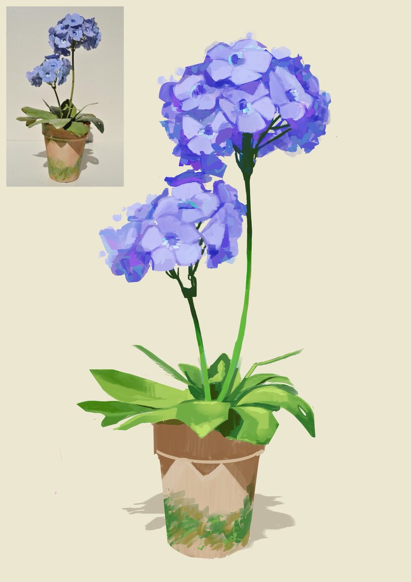 smudgesoot's tweet photo. Flowers https://t.co/yn2ihm6SSp