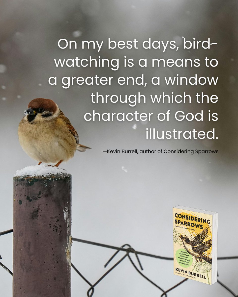 rytn4hm's tweet photo. Considering Sparrows: What Birds Teach Us About Who We Are, Where We’re Going, and the Joy of Following Jesus releases on March 24, 2026.

The book is a “journey through the book of Philippians” revealing “timeless truths through the lives of birds.”

https://t.co/GsOIwl1xWU https://t.co/qxxVTB1c96