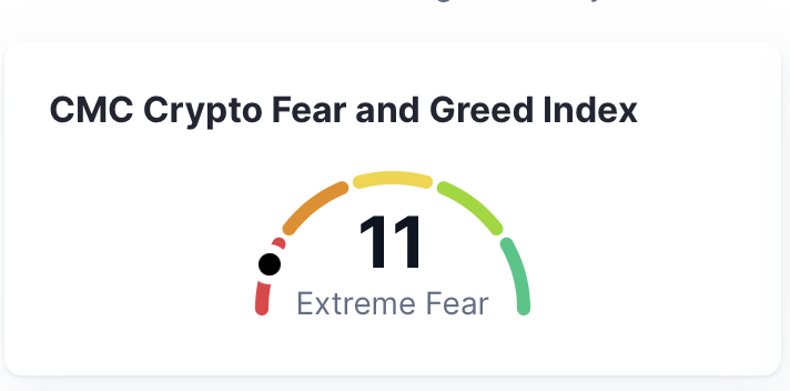 TraderBambu tweet media