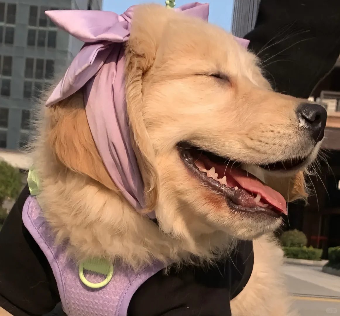 Chevelle (@chevelle0214) on Twitter photo 