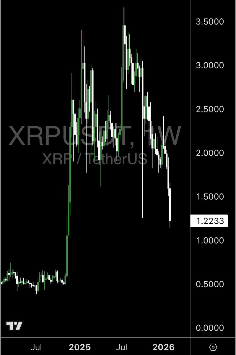 Paper Gains tweet media