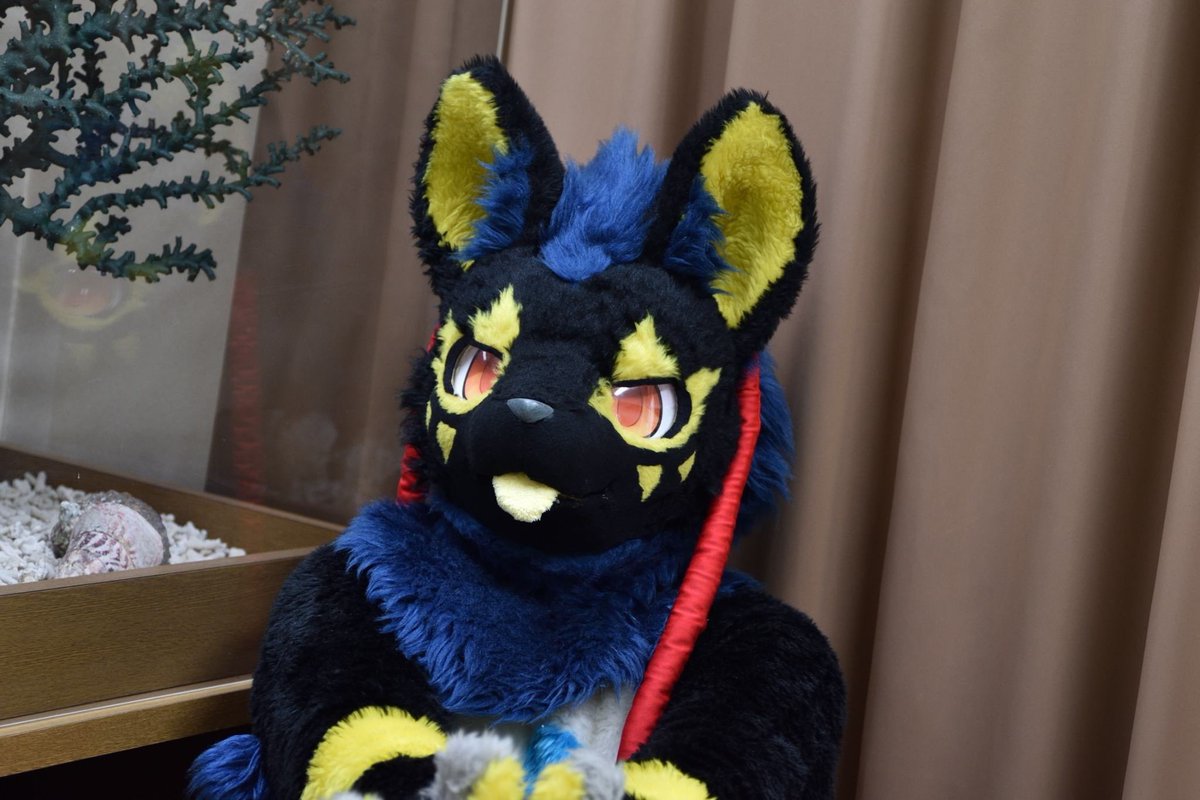 RT @maimai_0kc: #FursuitFriday