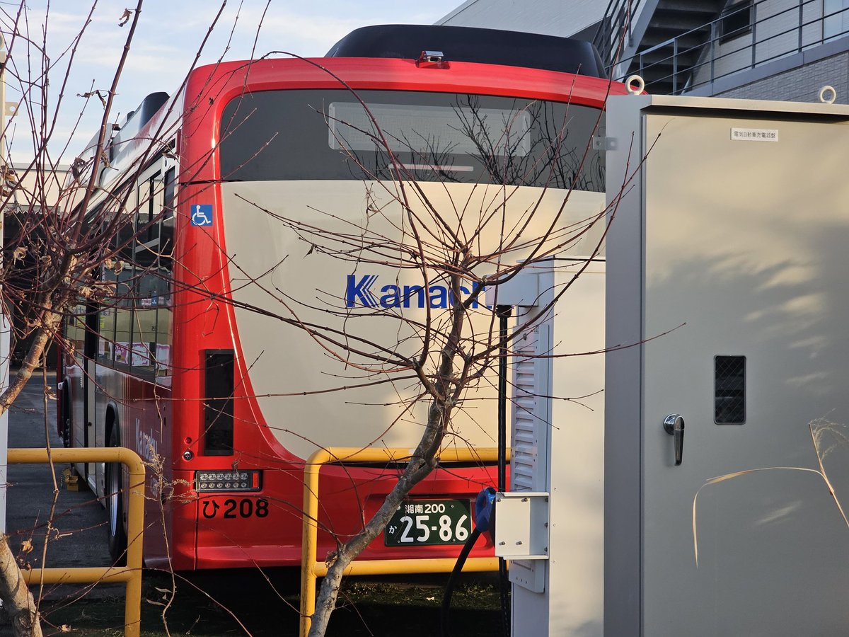 サキ(早妃) 💖👧💖 (@DxSaki2) / Posts / X