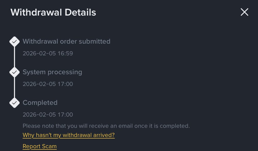 Helena Margarido tweet media