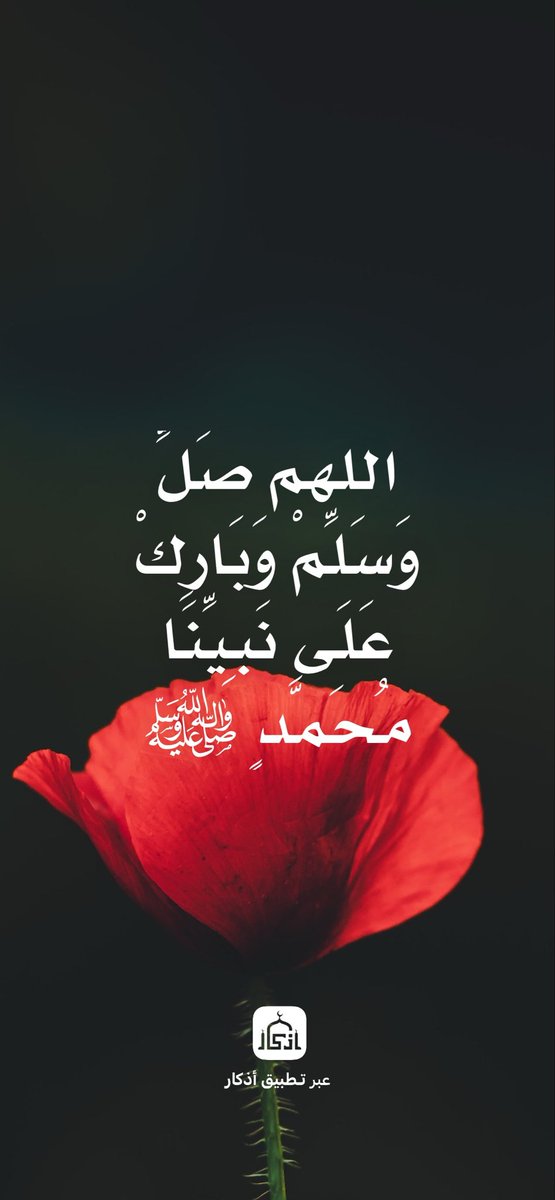 hlohdhd's tweet photo. 🌹🕊️ https://t.co/yP1KMfRDjQ