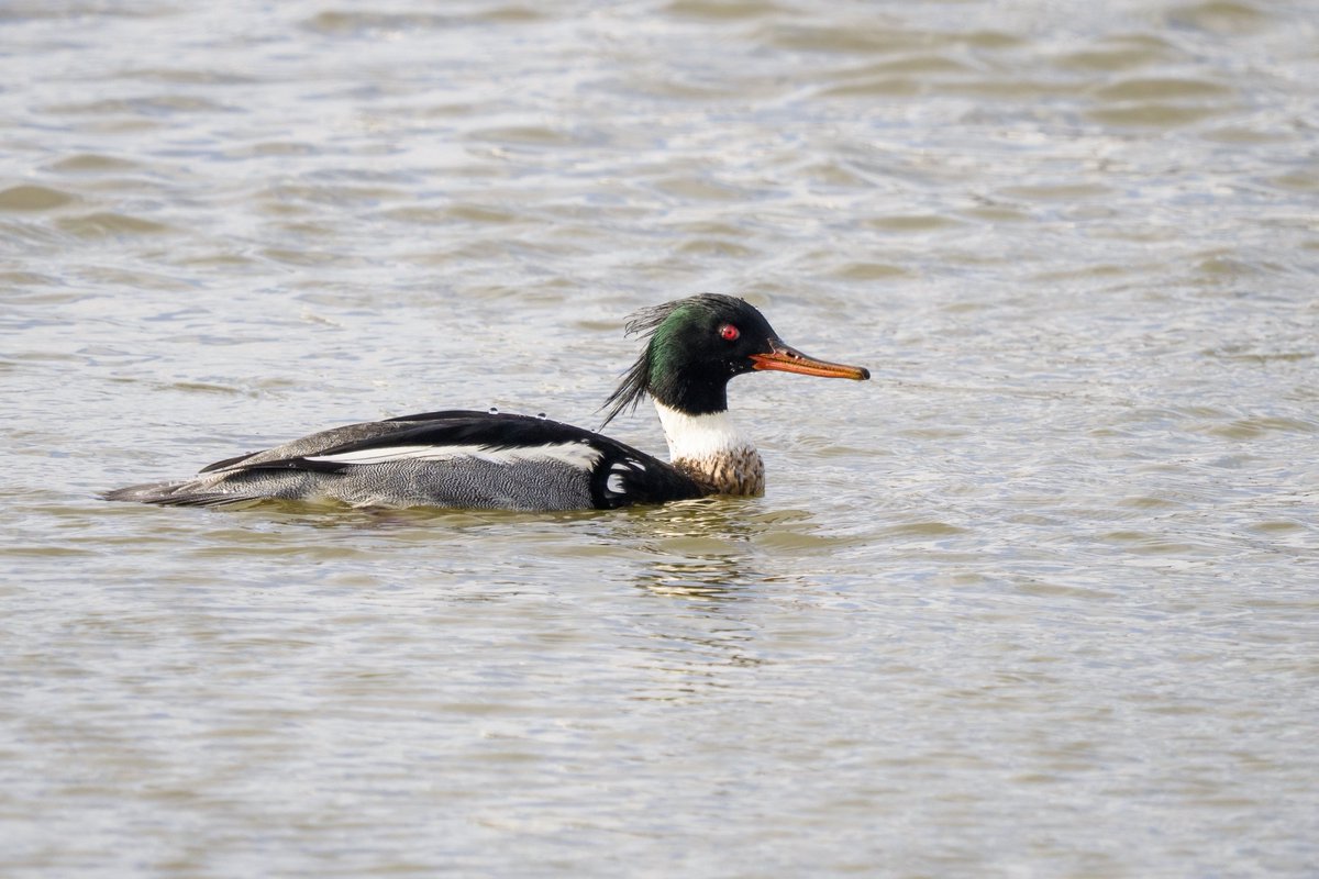 Andy Johnson tweet media