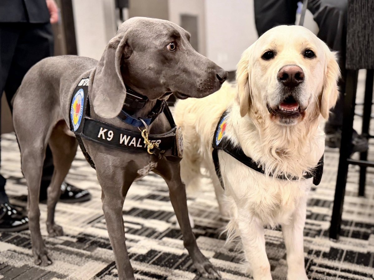 Iowa Department of Public Safety tweet media