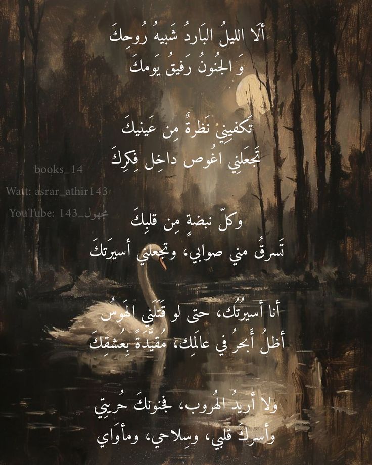 . tweet media