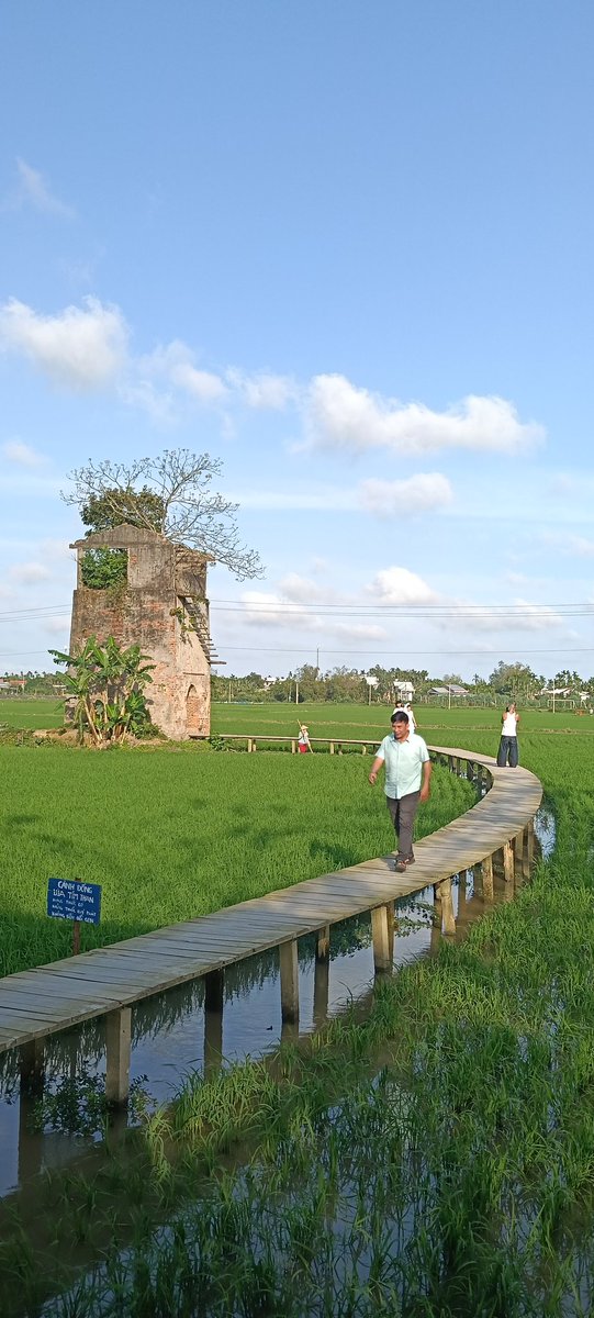 Le Thanh Nga | Tina tweet media