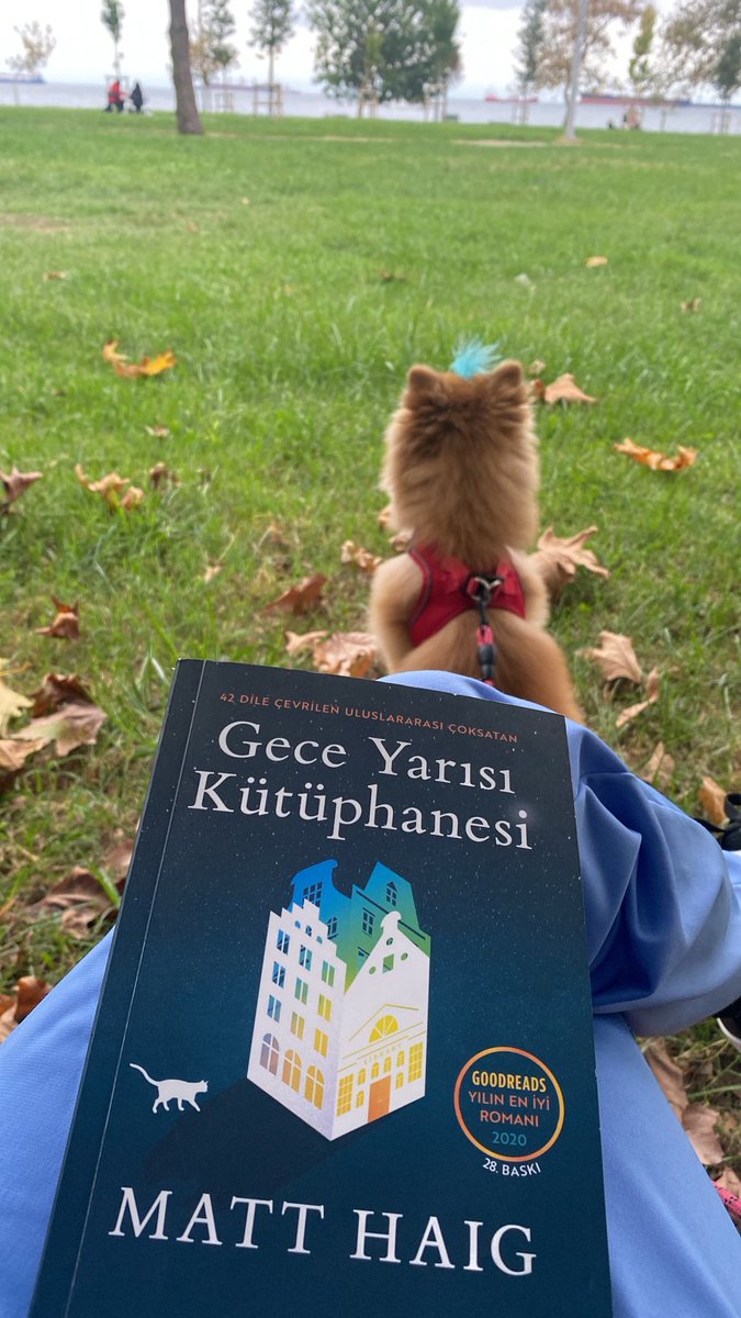 Yaz iyidir, yaz güzeldir yaz çok hoştur :)