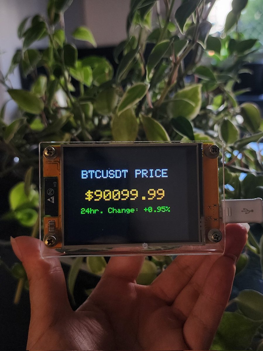 Rafaela Romano tweet media