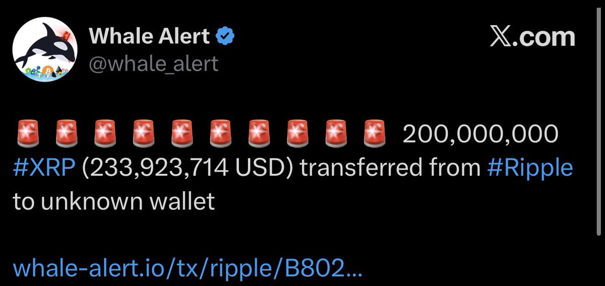 XRP Update tweet media