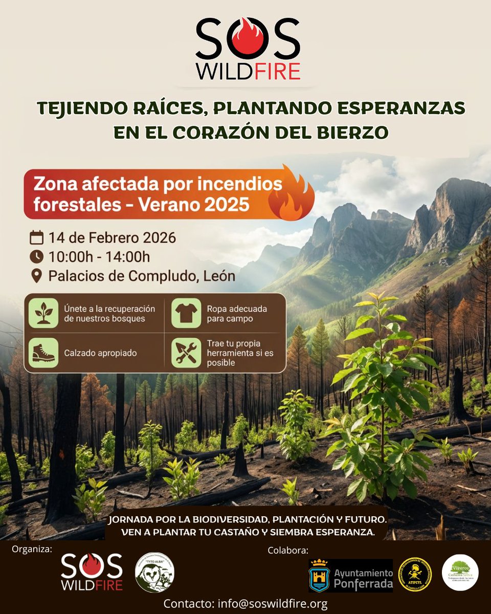 VCastaneaSativa's tweet photo. El 14 de febrero del 2026, colaboramos con SOS Wild Fire y Tyto Alba, en una jornada de plantación de castaños en zonas afectadas por el fuego en el verano del 2025 en Palacios de Compludo (El Bierzo). Jornada  acta para hacer en familia con nuestros hijos y gratuita.Os esperamos https://t.co/HuSFPb15wI