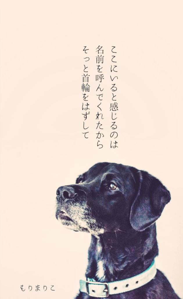 もりまりこ／ゼロの紙 (@zeronokamides) / Posts / X