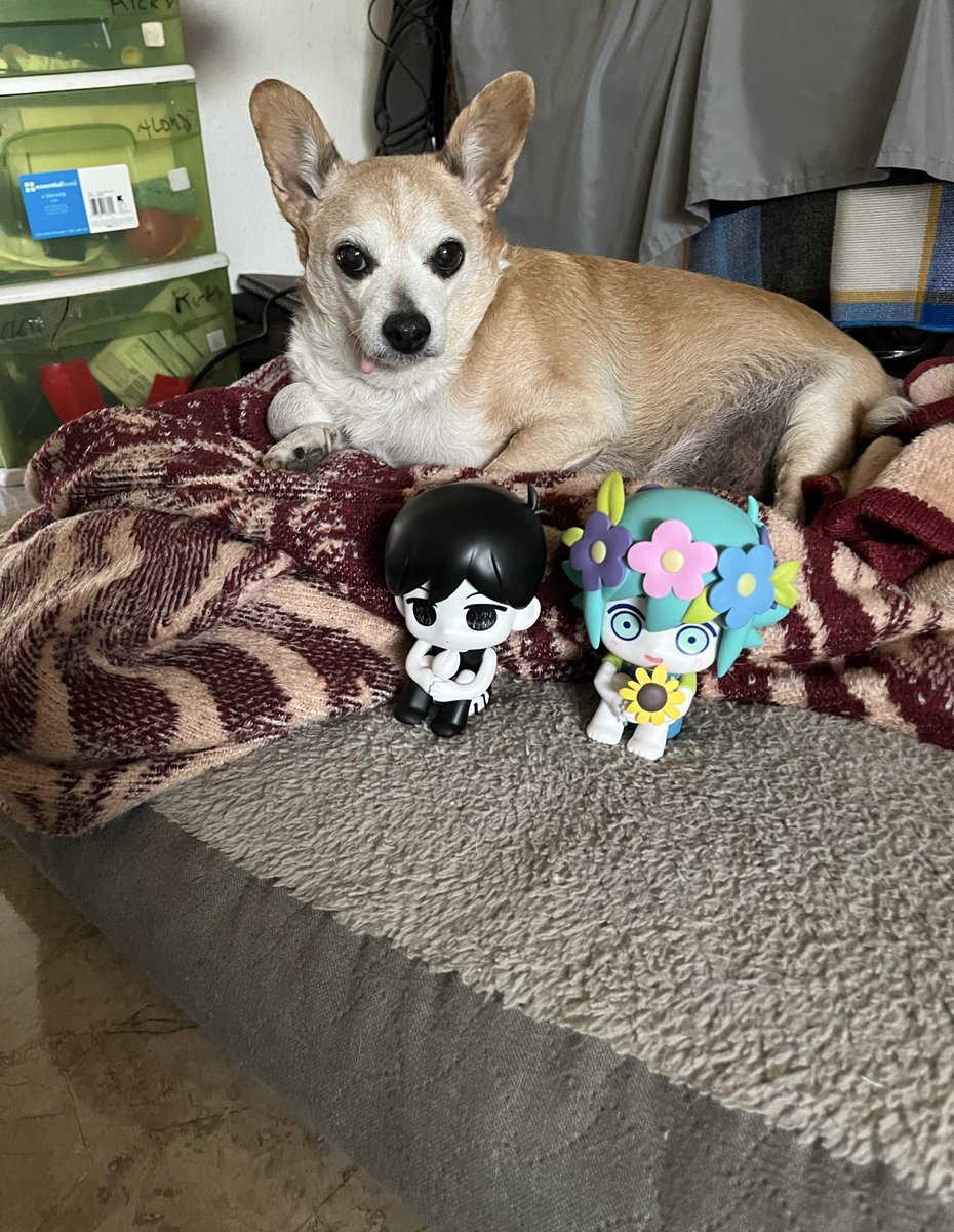 JOmega #BLM tweet media