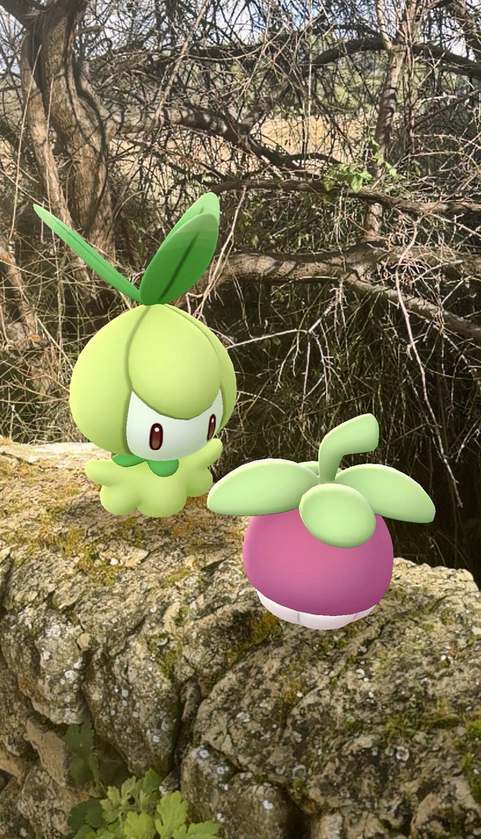neco159100's tweet photo. Hoy un  Regigigas oscuro shiny!! Y en total 3 shinys y un 100Iv! 
Como os ha ido? 
#GOsnapshot #Pokemon #PokemonGo
#PokemonGOApp #ARofTheDay
#GOsnapshotCelebration https://t.co/5h4TvGsJKA