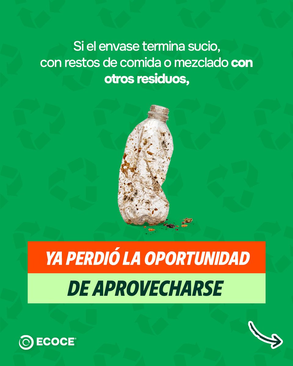 ECOCE A. C. tweet media