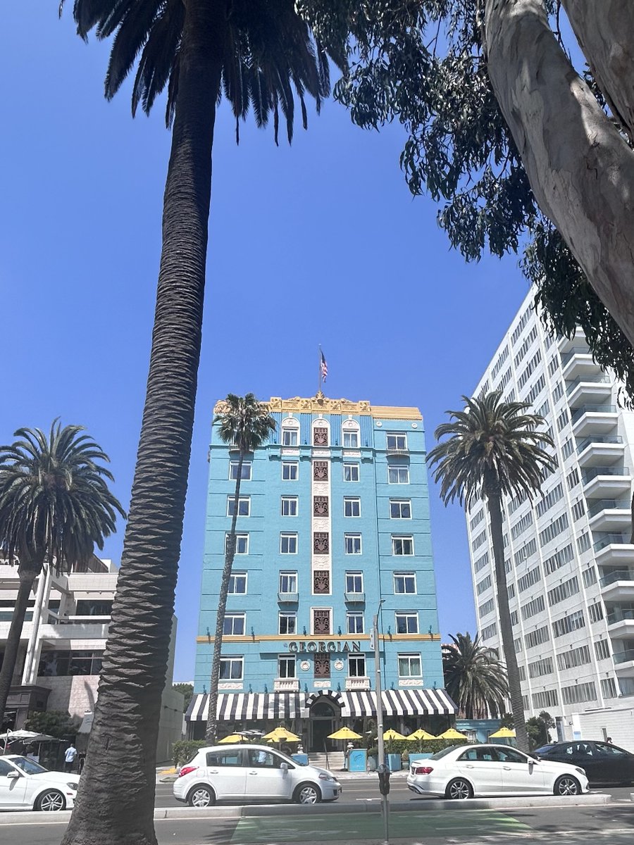 maryanne_pope's tweet image. 