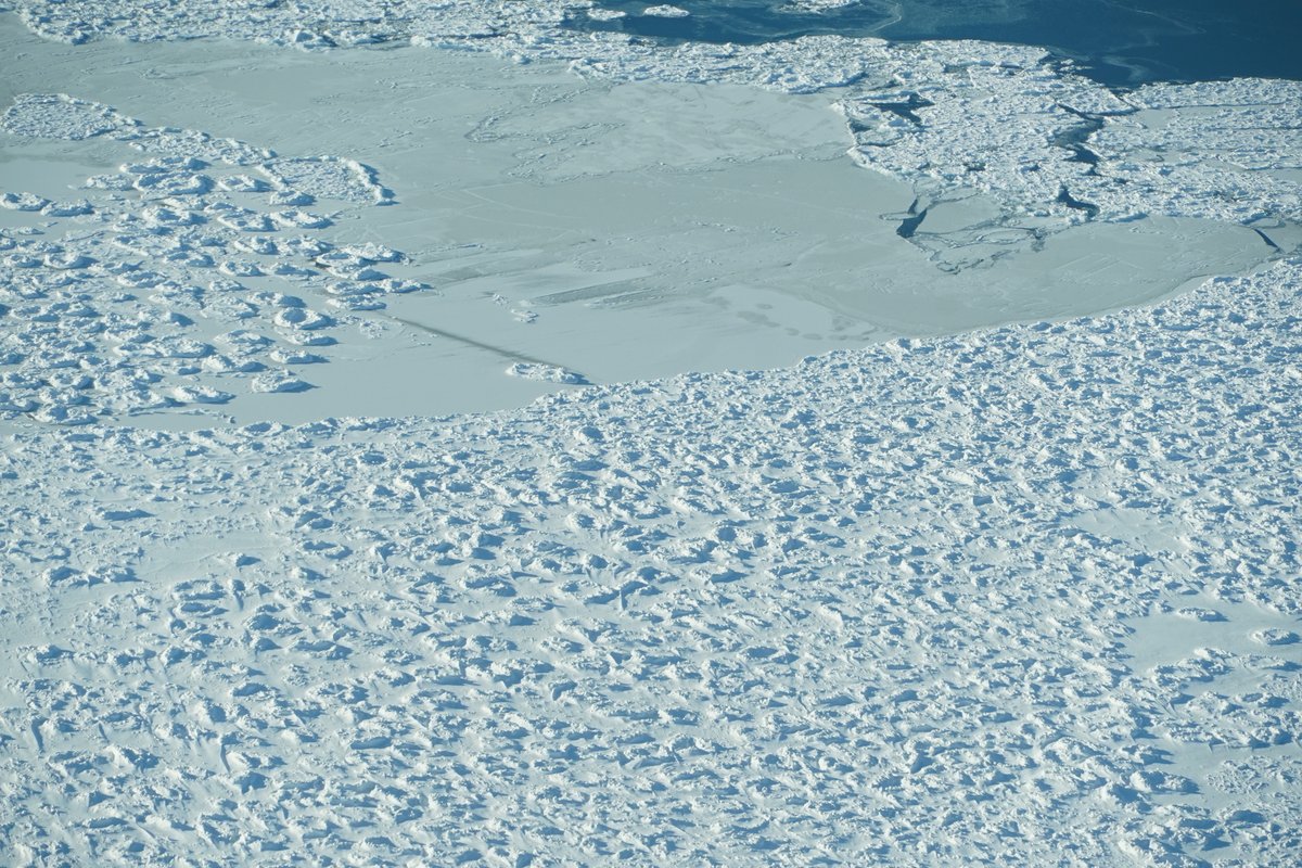 Papple Aviation tweet media