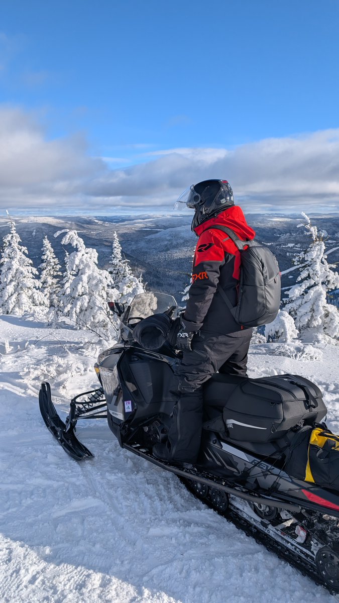 Jonathan Hamel tweet media