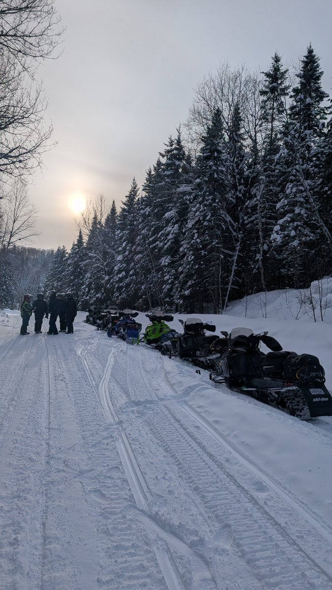 Jonathan Hamel tweet media