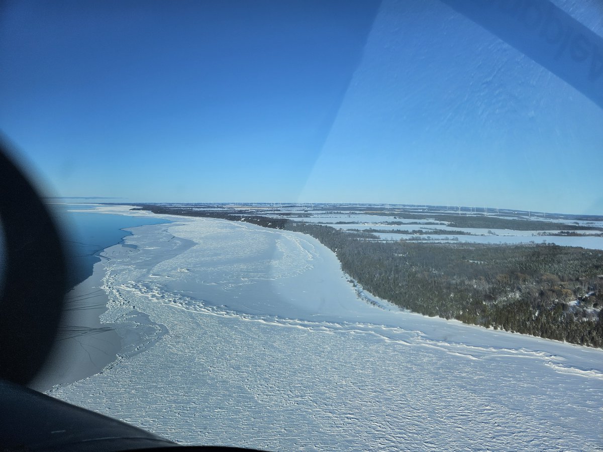 Papple Aviation tweet media