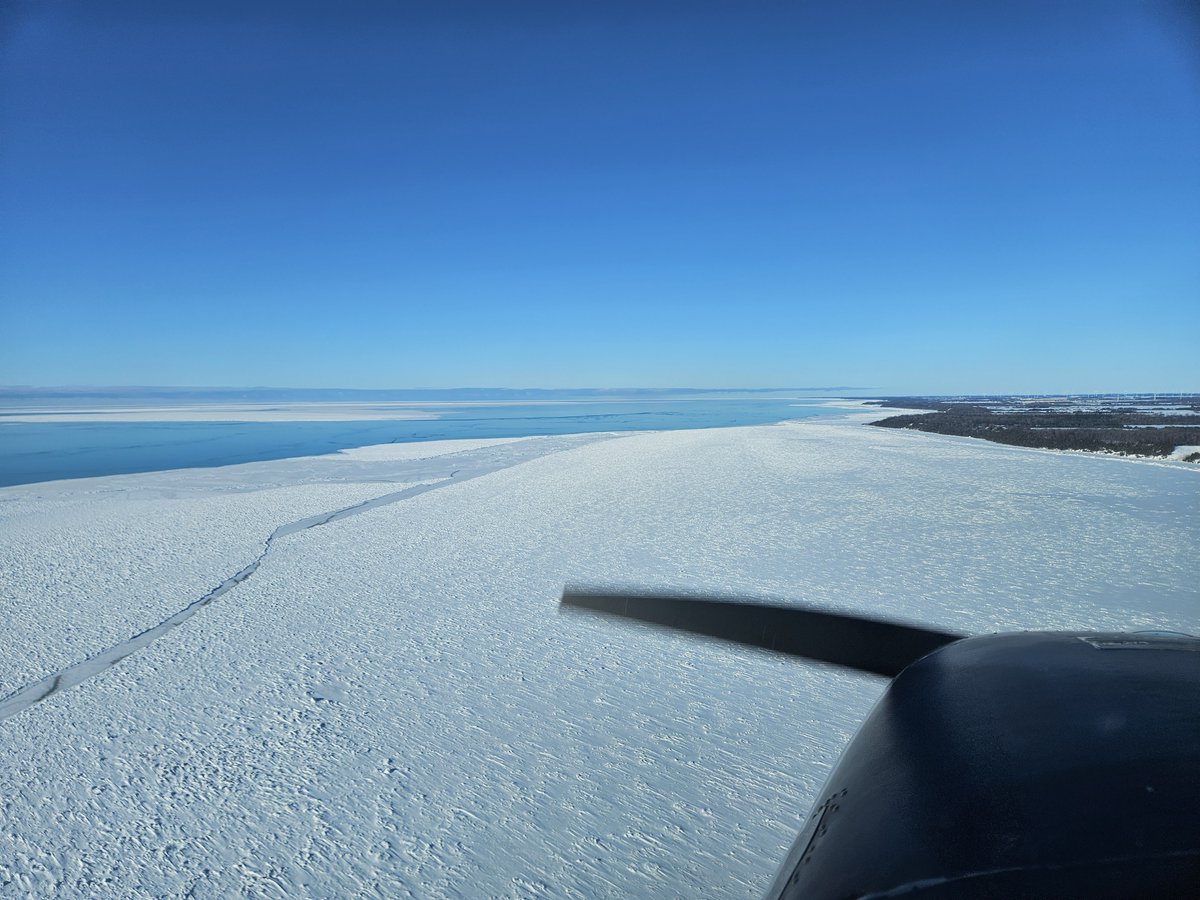 Papple Aviation tweet media