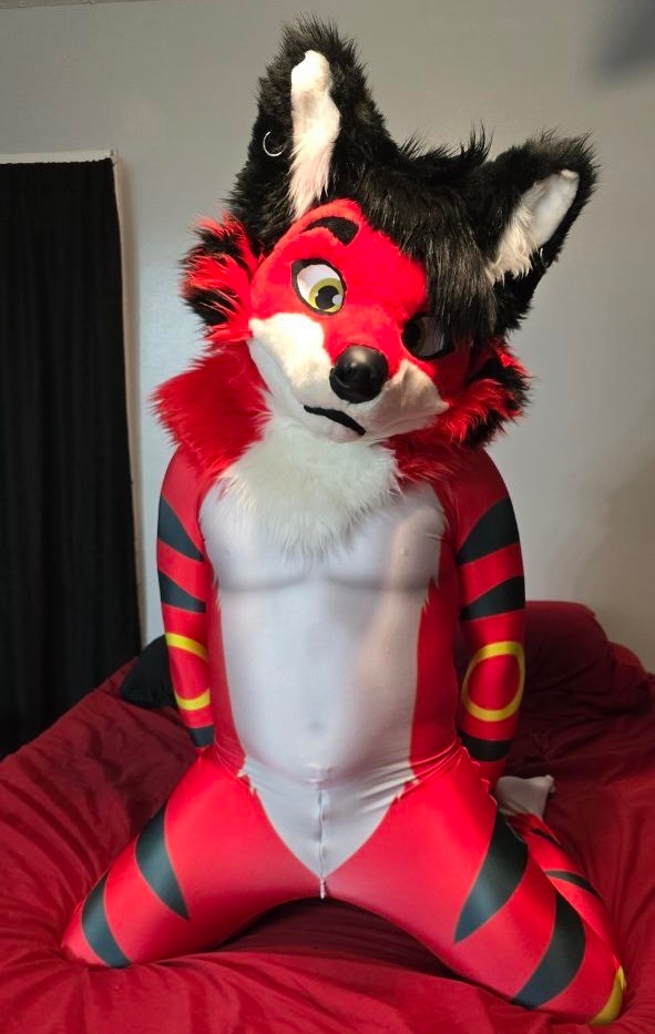 SethVixen tweet media