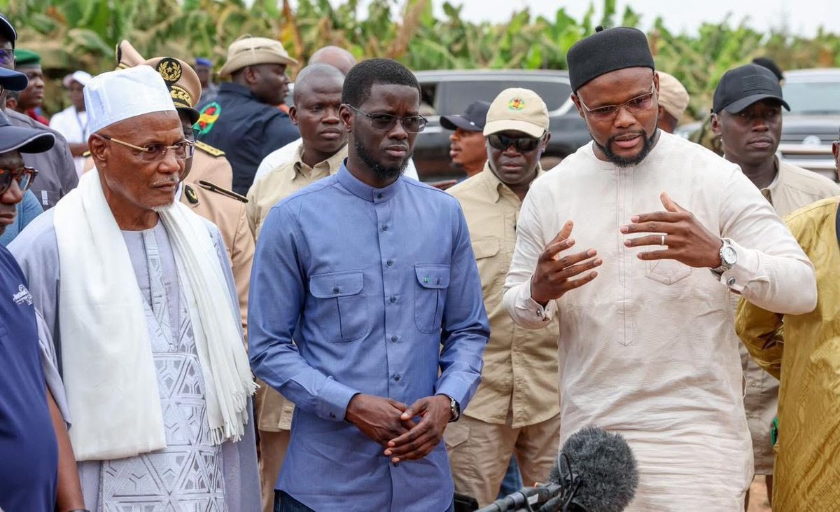 Ministère de l'Agriculture et de l'Elevage - MASAE tweet media