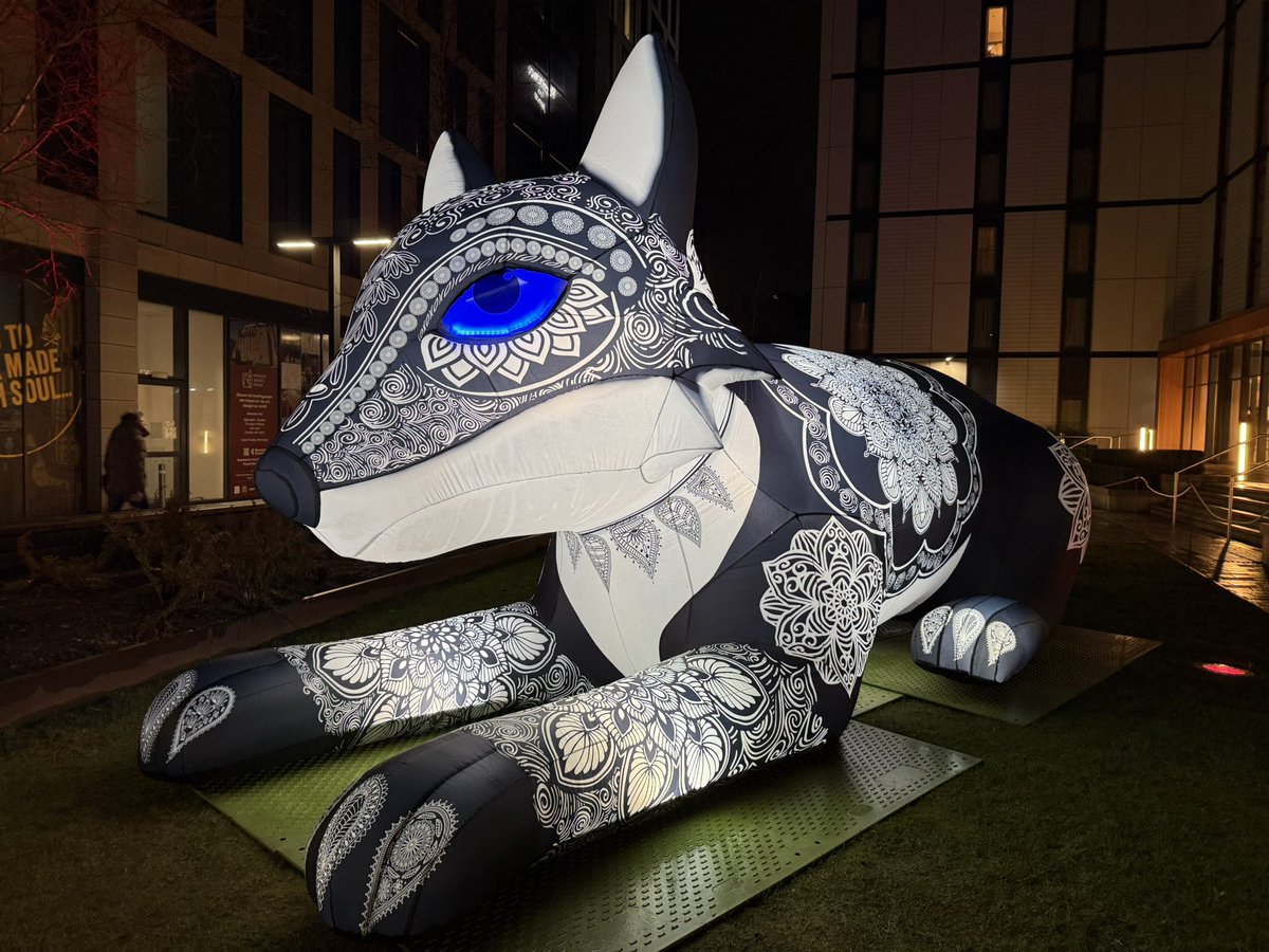 Jane Thomson tweet media