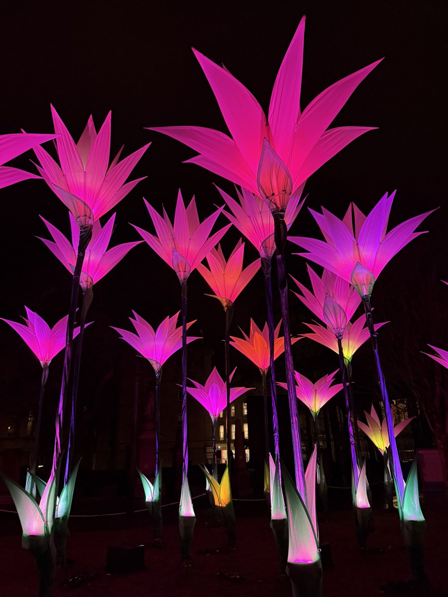 Jane Thomson tweet media