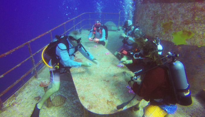 bpkdasbaum tweet media