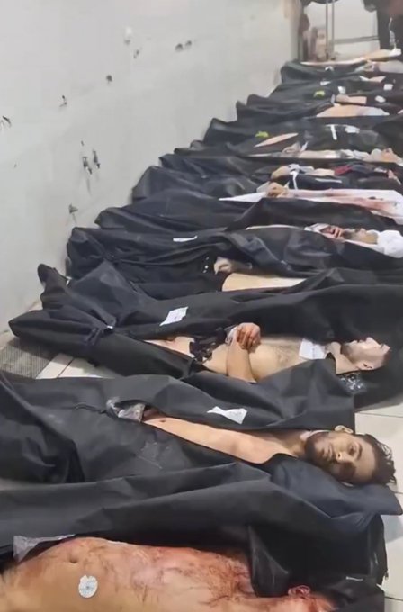 ¿Te puedo pedir un favor?

No dejes de hablar de Irán.

Ellos sacrificaron sus vidas por la libertad.

No los dejes desaparecer en el silencio.