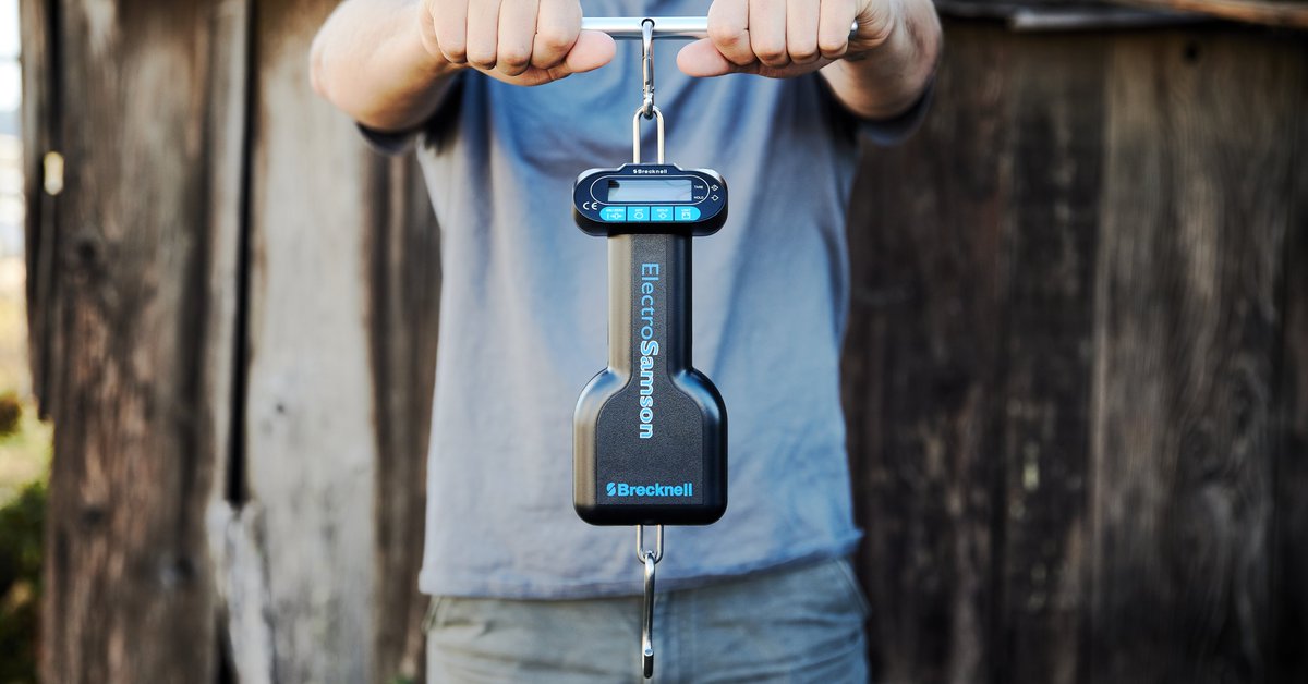 TackleWarehouse's tweet photo. 🔥DAILY SPECIAL🔥
Shop Now 👉 https://t.co/4B6XAVlQu2
25% Off Brecknell ElectroSamson Scale
Now: $89.99 | Save: $30.00 | 25% Off
#TackleWarehouse #TWdailySpecial #BassFishing #Fishing | #Brecknell https://t.co/iMKiPPBlqT