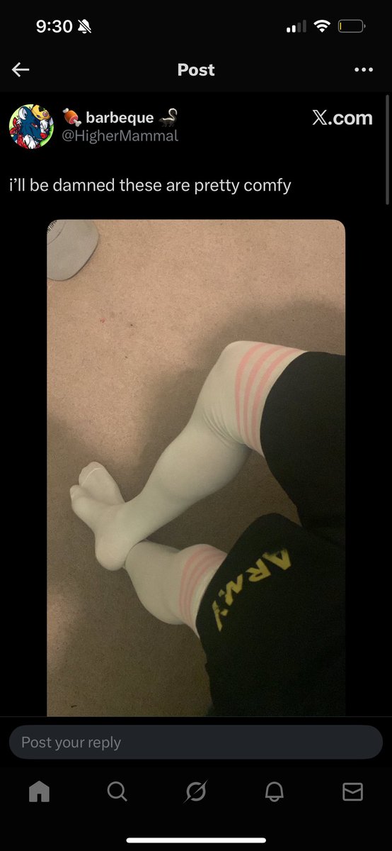 The Global Liberal 🇺🇳 tweet media