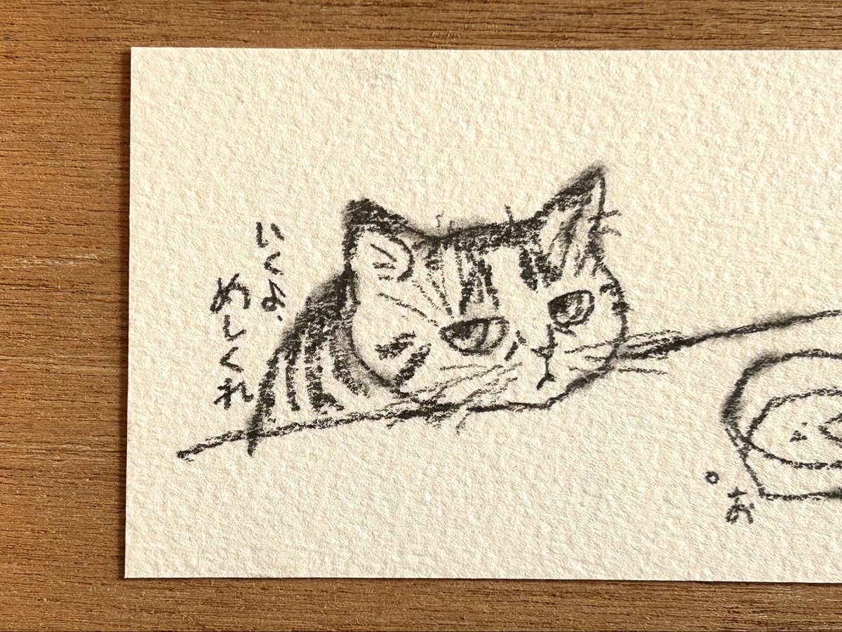 ひとり勝手にキャンペーン
「投票にいこう！」

第51回衆議院議員総選挙
2月8日(日)投票日

期日前投票は
明日2月7日(土)まで

#イラストレーション #イラスト #鉛筆画 #猫絵 #猫 #投票に行こう #投票 #いくよめしくれ #らくがき #投票に行こう #衆議院選挙