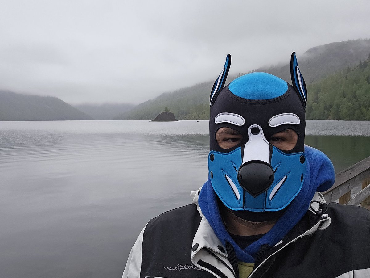 Keet Collie @MFF , MCFC 26 and 2026 Furry Cruise tweet media