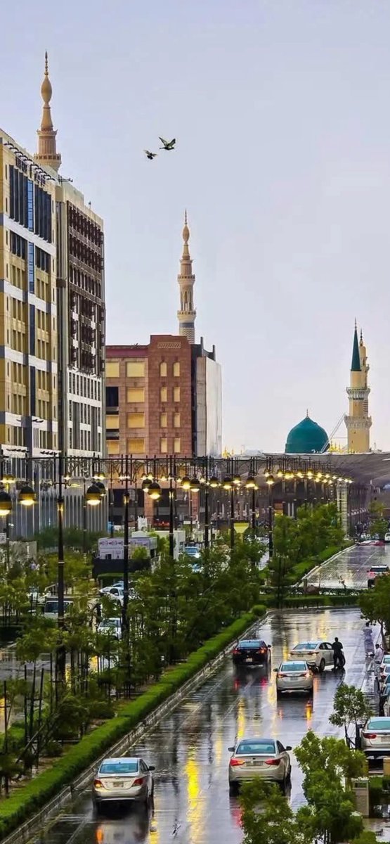 ‏علي الحلافي 🇸🇦 tweet media