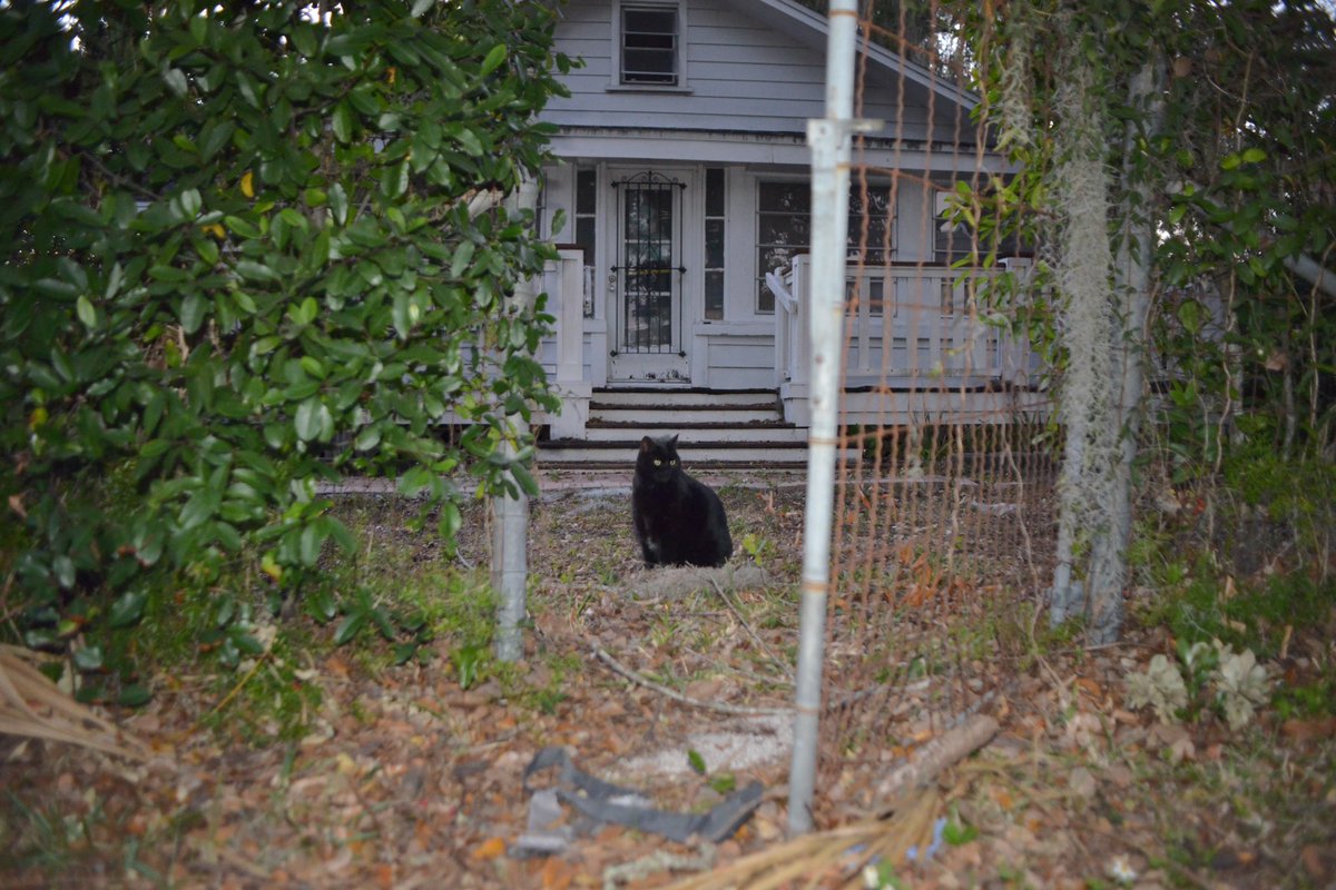 MF_ROOM (@elliott0610) on Twitter photo 