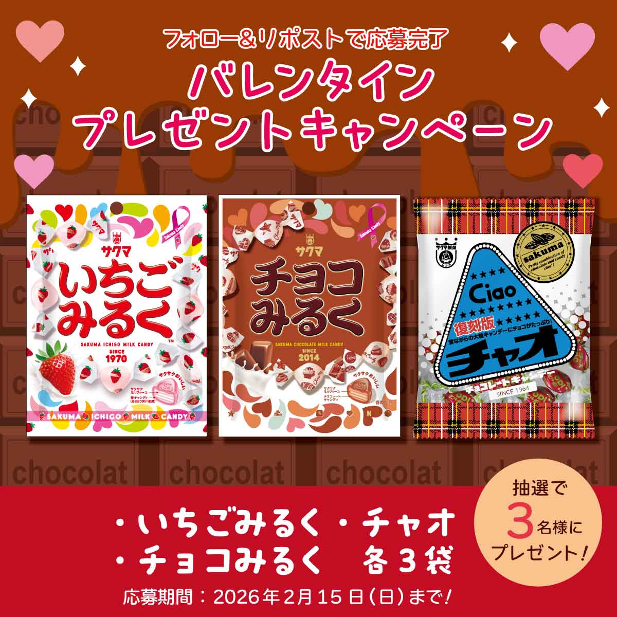 プレゼントキャンペーン