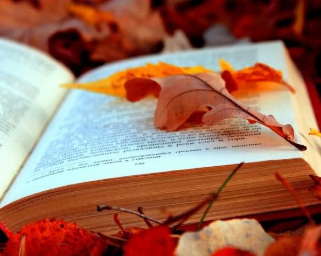 Life is a story. And to love a person is to love their story. 🌎