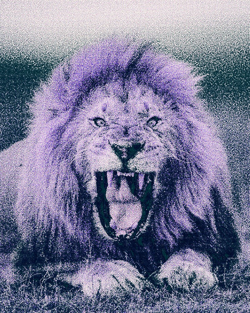 Aaron Romero tweet media