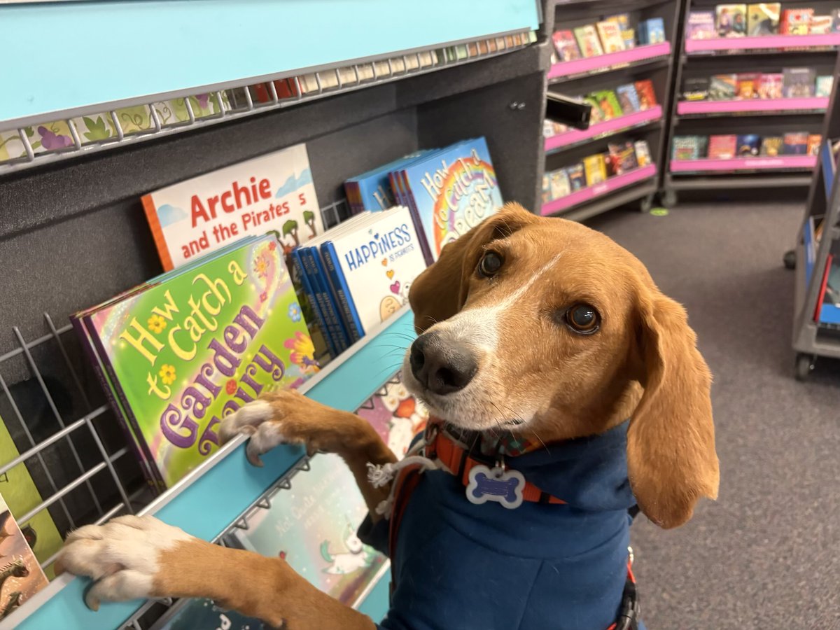 Literati tweet media