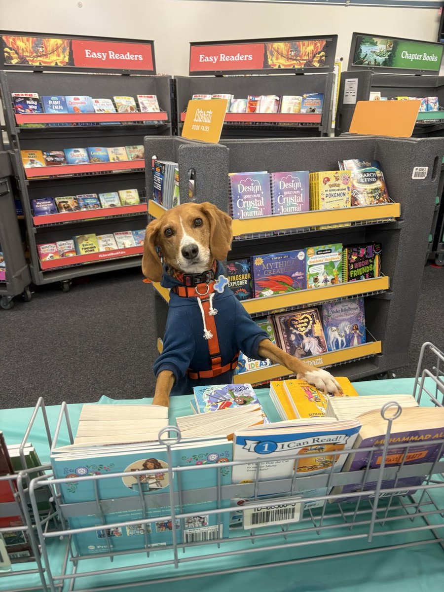 Literati tweet media