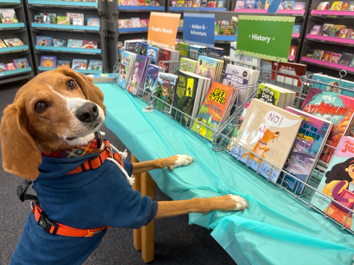 Literati tweet media