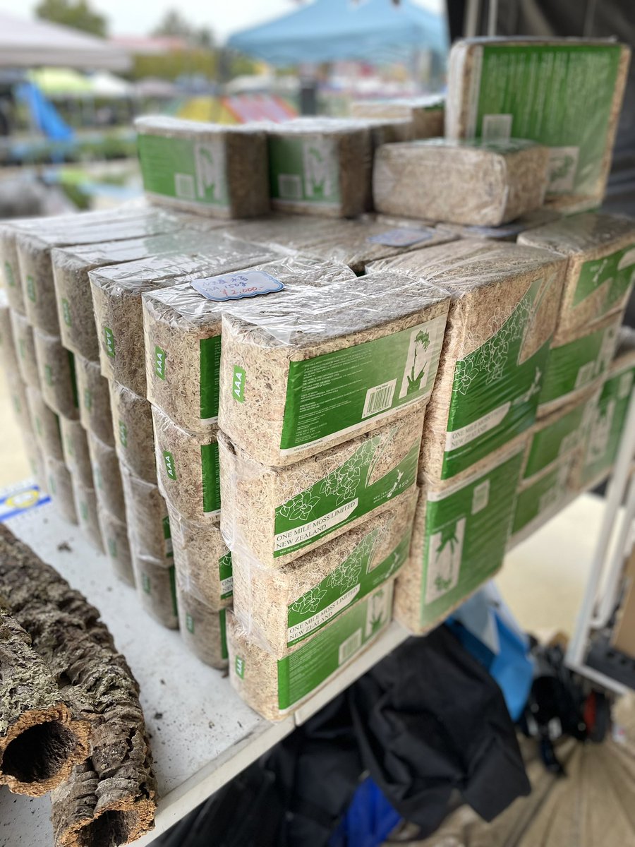 あと熊谷フェスは

コルクの魔王が復活降臨するみたいよ