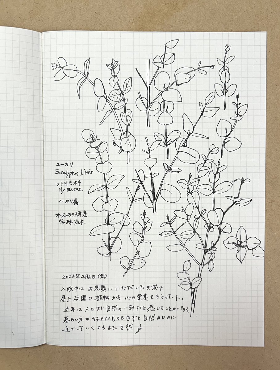 星川あすか Hoshikawa Asuka (@hoshias2) on Twitter photo 