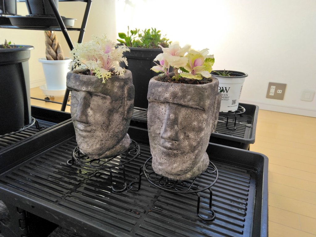 趣味の園芸コミュニティ Community on X - 91 Members